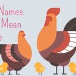 Girl Names That Mean Little