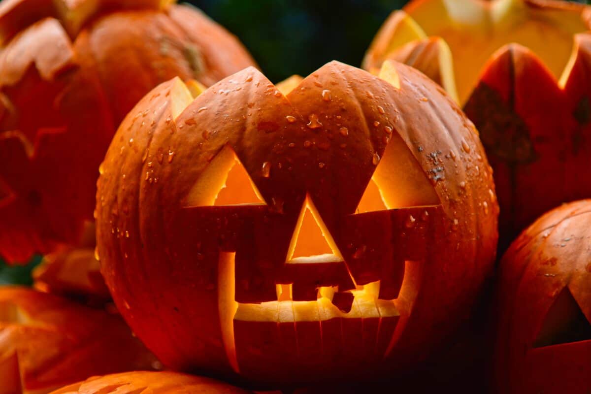 what-you-should-know-about-the-history-of-halloween