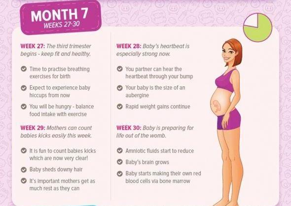 seven months pregnant diet