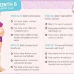 Everything You Need to Know About Being Six Months Pregnant