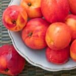 Try This Wonderful Nectarine Betty Recipe