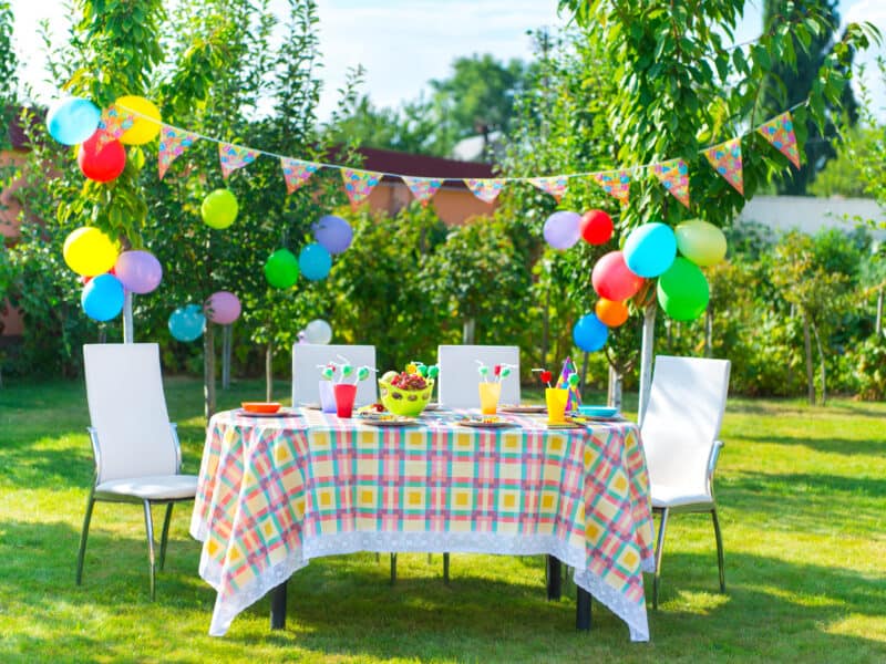 2 Year Old Outdoor Birthday Party Ideas Birthday Cake Images