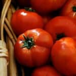 Try This Quick and Easy Mozzarella and Tomato Crostini